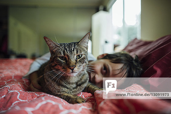 Porträt einer Katze von einem Jungen auf dem Bett zu Hause