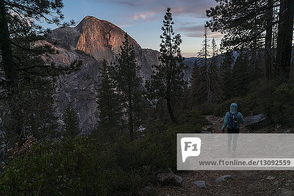 Rückansicht einer Wanderin auf einem Feld im Yosemite National Park
