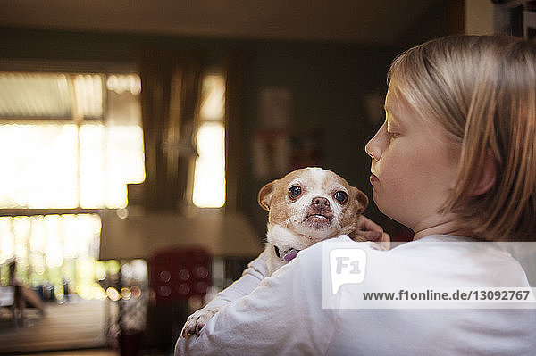 Mädchen trägt Chihuahua  während sie zu Hause steht