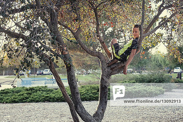 Lächelnder Junge entspannt sich auf Baum am Feld