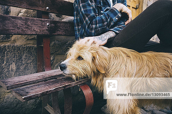 Mittelteil eines Mannes  der einen Hund streichelt  während er auf einer Bank am Bürgersteig sitzt