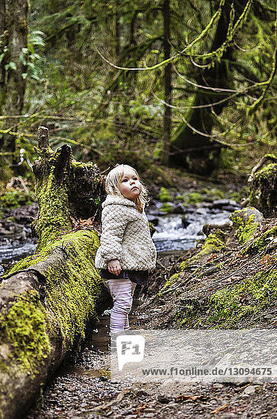 Cute girl looking up while standing in forest