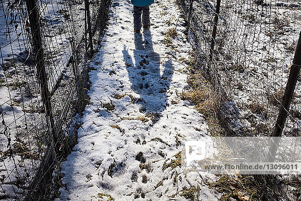 Niedrige Sektion eines Mädchens auf schneebedecktem Feld stehend