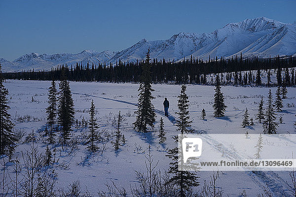 High angle view of hiker standing on snowy field against snowcapped mountains at Denali National Park