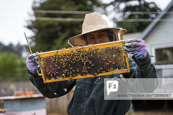 Bienenzüchterin inspiziert Bienenstockrahmen im Betrieb