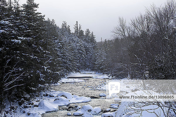 Bach inmitten von schneebedeckten Felsen und Bäumen im Winter im Wald