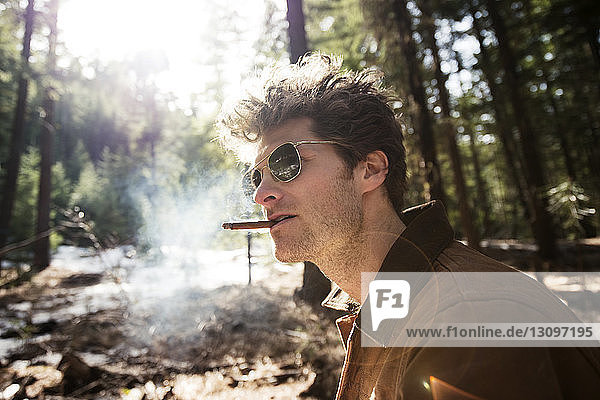 Seitenansicht eines Zigarre rauchenden Mannes im Wald