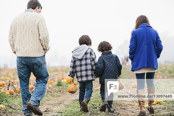 Rear view of sons carrying pumpkins while walking with parents on pumpkin patch during winter
