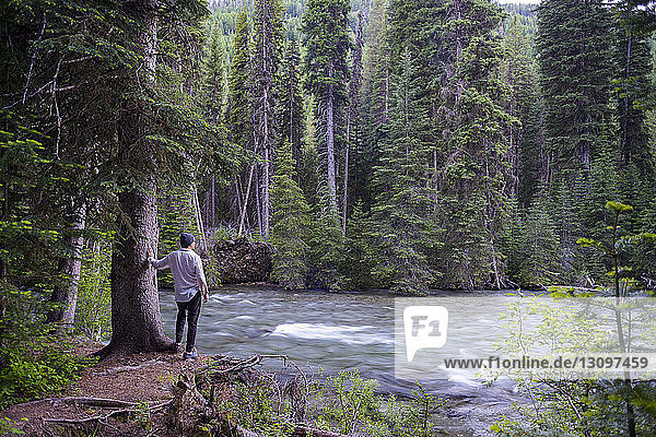 Man looking at view while standing by tree in forest