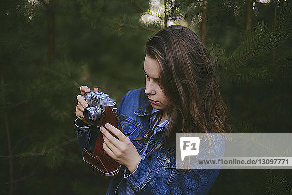 Woman photographing pine trees in forest