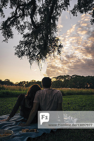 Rear view of couple relaxing on blanket against sky at park
