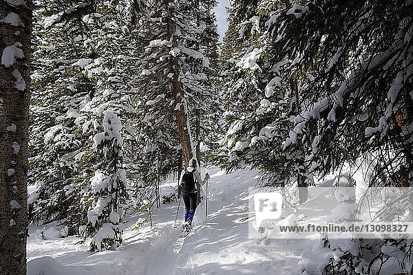 Rear view of woman hiking on snow field in forest