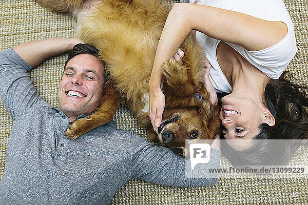 Overhead view of couple with dog lying on carpet at home