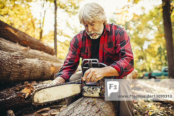 Male lumberjack examining chainsaw while sitting on log in forest