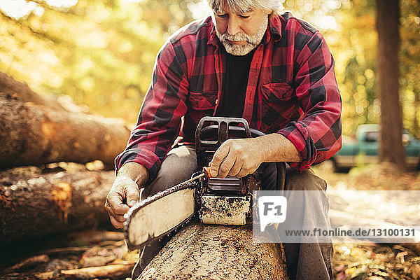 Männlicher reifer Holzfäller untersucht Kettensäge  während er im Wald auf einem Baumstamm sitzt