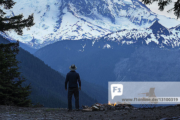 Rear view of man standing looking at snowcapped mountain