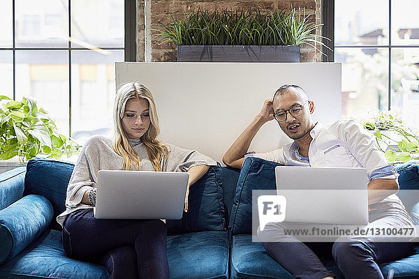 Junge Geschäftsleute benutzen Laptops  während sie im Kreativbüro auf dem Sofa sitzen