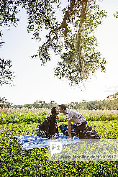 Seitenansicht eines Paares  das sich kniend auf einer Decke im Park küsst