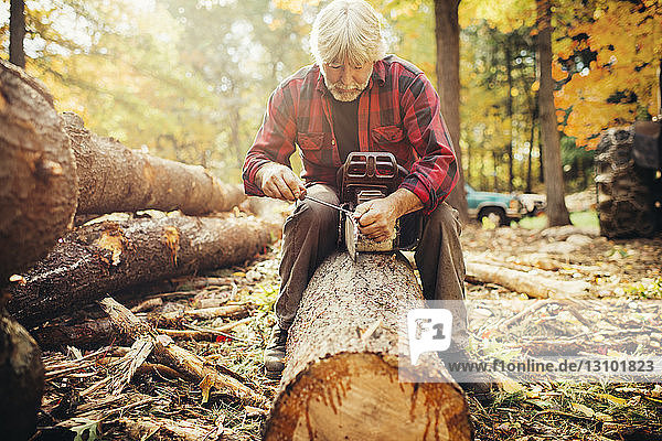 Männlicher reifer Holzfäller befestigt Kettensäge  während er im Wald auf einem Baumstamm sitzt