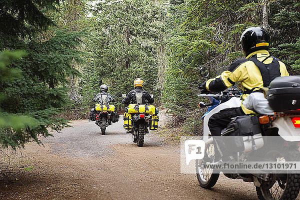 Rear view of men riding motorcycles on road amidst trees