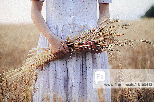Mitten in einer Frau  die Weizenkulturen hält  während sie auf dem Feld gegen den Himmel steht