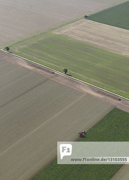 Luftaufnahme Traktor in sonniger landwirtschaftlicher Kultur  Hohenheim  Baden-Württemberg  Deutschland