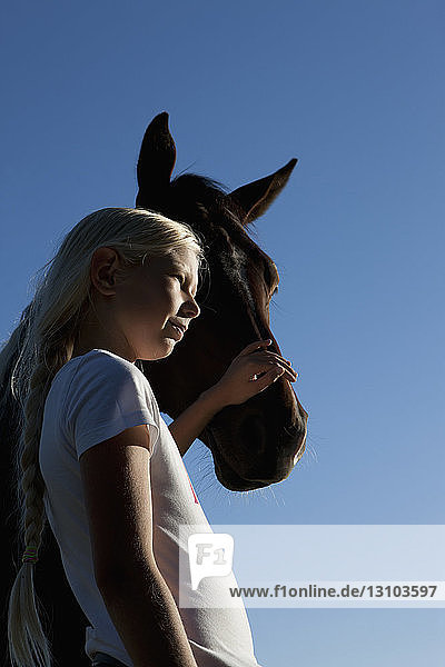 Mädchen streichelt Pferd Schnauze unter blauem Himmel