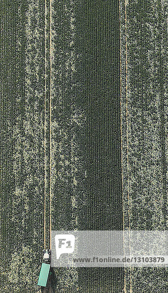 Aerial view tractor in green agricultural crop  Hohenheim  Baden-Wuerttemberg  Germany