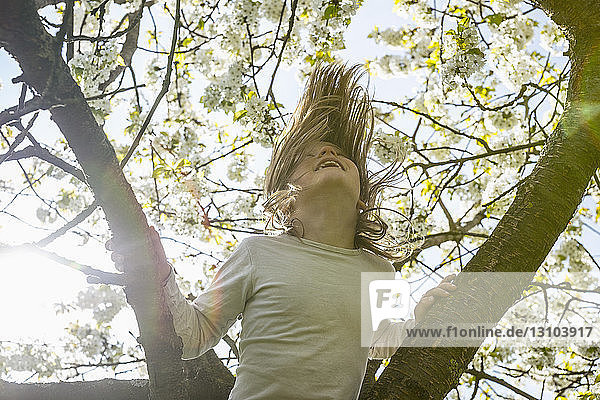 Verspieltes Mädchen klettert auf Frühlingsbaum
