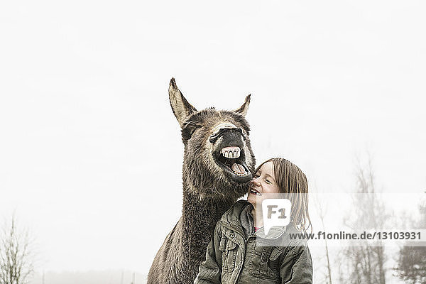 Playful girl and donkey