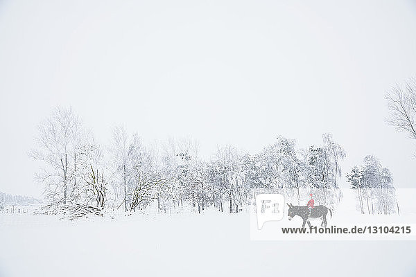 Mädchen mit Weihnachtsmannmütze reitet auf Esel in verschneitem Feld