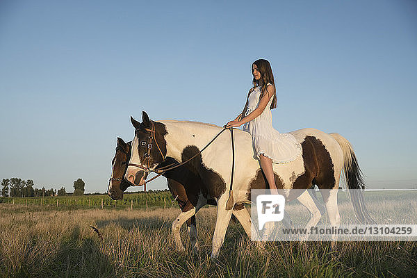 Mädchen reitet ohne Sattel auf einem Pferd in einem ländlichen Feld