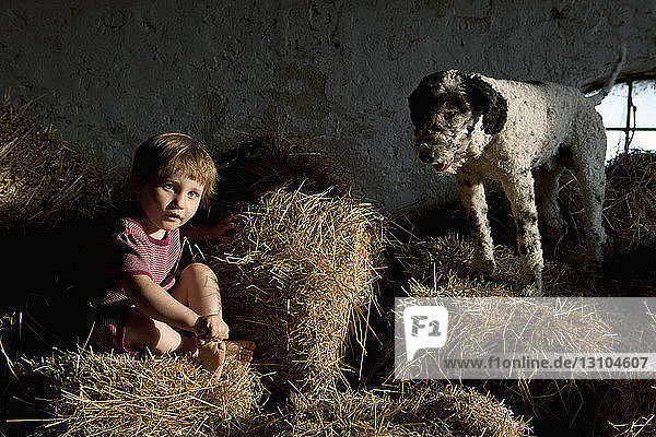Portrait cute girl with dog sitting in hay