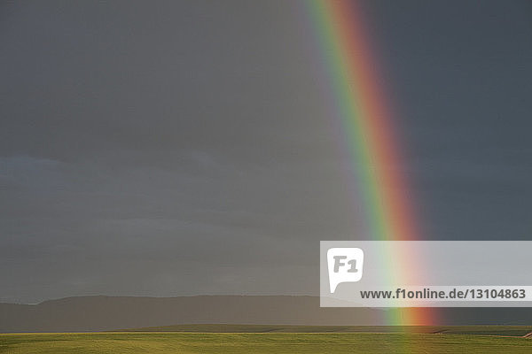 Ein Regenbogen über den Weizenfeldern im Nordosten von Oregon  USA