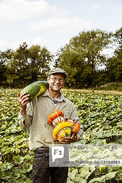 Lächelnder Landwirt steht auf einem Feld und hält eine Auswahl frisch geernteter Kürbisse in der Hand.