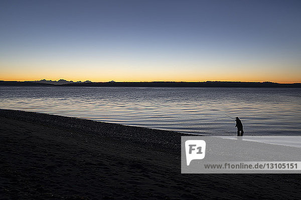 A fly fisherman gets ready to wade into salt water at sunrise and fly fish for coastal cutthroat trout and salmon at a beach on the north west coastline of the USA. USA