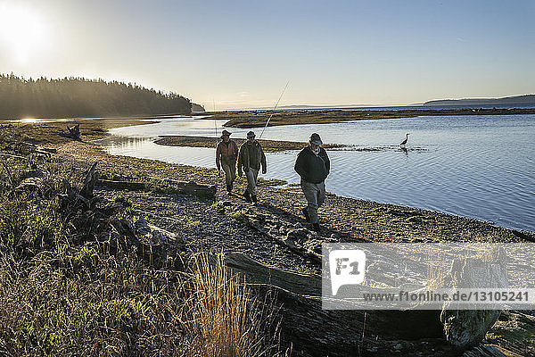 Zwei Fliegenfischer und ein Führer gehen an einem großen Blaureiher entlang einer Salzwasser-Strandmündung vorbei  während sie auf Indian Island im nordwestlichen Bundesstaat Washington (USA) an der Küste von Searun Cutthroat Forelle und Lachs fischen.