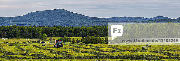 Heuballenpressen auf einem grünen Feld; Shefford  Quebec  Kanada