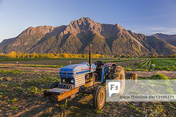 Ein blauer Traktor sitzt unterhalb des vom Sonnenuntergang beleuchteten Pioneer Peak  Süd-Zentral-Alaska; Palmer  Alaska  Vereinigte Staaten von Amerika