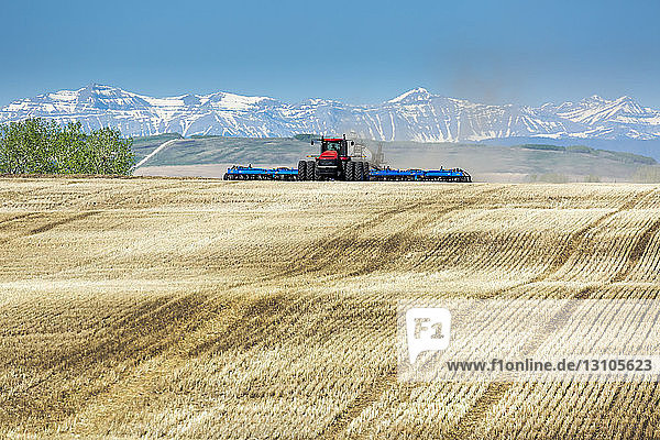 Tractor pulling an air seeder  seeding a field with mountains and blue sky in the background  West of High River; Alberta  Canada