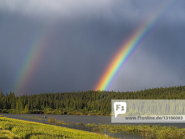 Doppelter Regenbogen in Gewitterwolken mit einem Wald und einem Fluss im Vordergrund; Alberta  Kanada