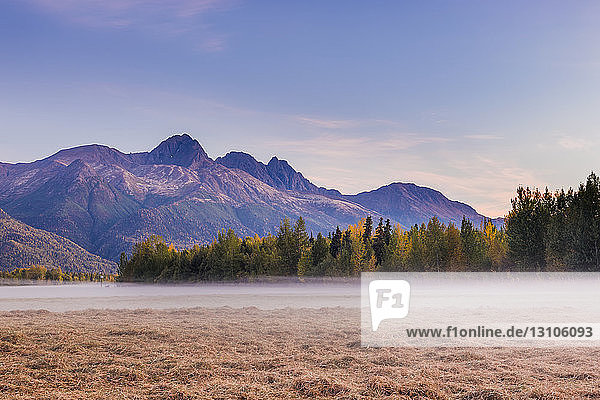 Fog fills a grassy field below Twin Peaks and the Chugach Mountains during sunset in the Knik River Valley in autumn  South-central Alaska; Palmer  Alaska  United States of America
