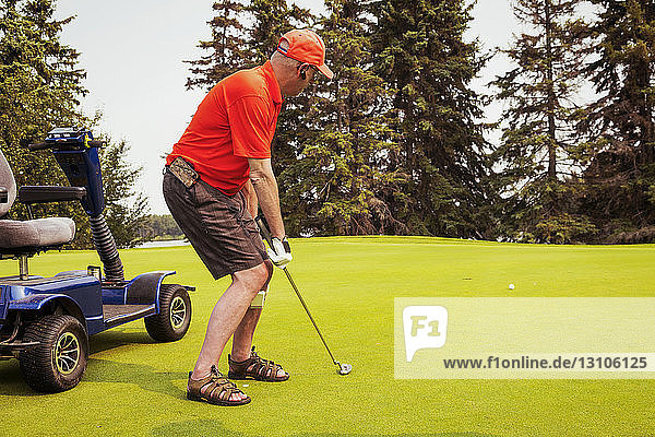 Ein körperlich behinderter Golfer  der einen speziellen Rollstuhl benutzt  schlägt den Golfball mit seinem Putter und der Ball rollt in Richtung Loch; Edmonton  Alberta  Kanada