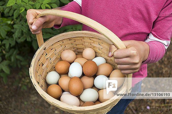 A girl holding a basket of fresh eggs; Salmon Arm  British Columbia  Canada
