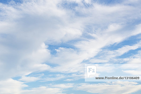 Kumuluswolken vor einem wunderschönen blauen Himmel; Edmonton  Alberta  Kanada