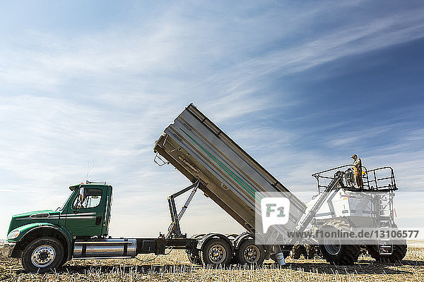 Landwirt steht auf einem Trichter  der mit einem Lastwagen gefüllt wird  auf einem Feld mit blauem Himmel und Wolken; Beiseker  Alberta  Kanada
