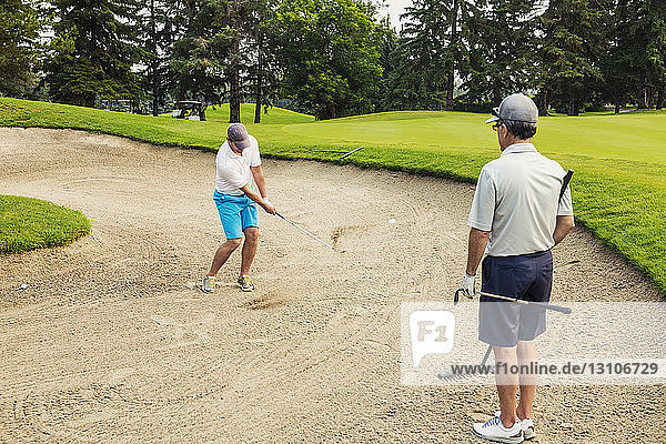 Two male golfers standing in a bunker  one holding a rake and waiting his turn  while the other swings at the ball to chip it out of the sand pit; Edmonton  Alberta  Canada