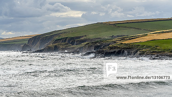 Zerklüftete Küstenlinie entlang des Atlantiks mit Ackerland; Kinsale  Grafschaft Cork  Irland