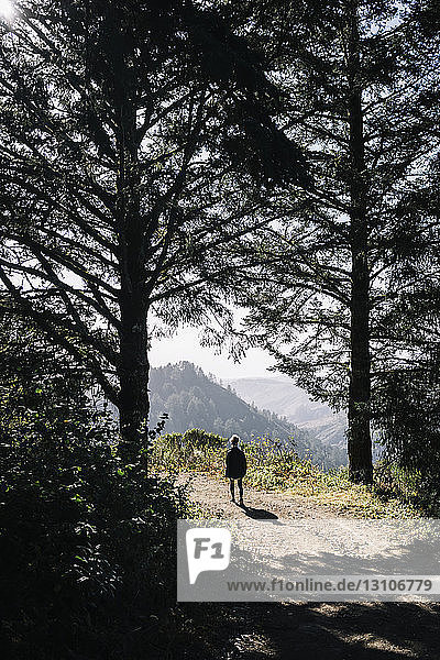 A woman walks uphill on a trail in the mountains to the sunlight at the mountaintop Purisima Creek Redwoods; California United States of America