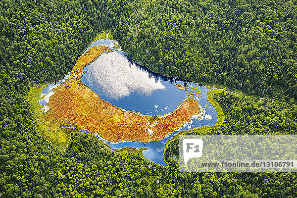 Luftaufnahme eines Teichs in einem dichten Wald; Thunder Bay  Ontario  Kanada